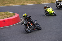 Lower Group Orange Bikes